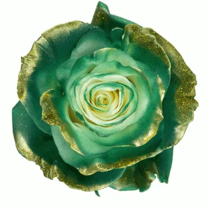 Dark Green, Gold and Glitter · Mitabella catalog