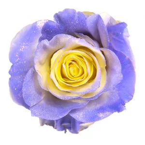 Yellow Lavender Glitter · Mitabella catalog