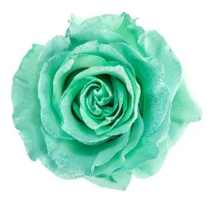 Mint Glitter · Mitabella catalog