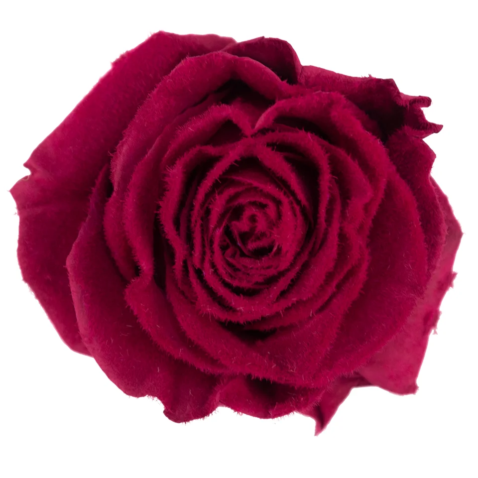 Velvet Dark Cherry · Mitabella catalog