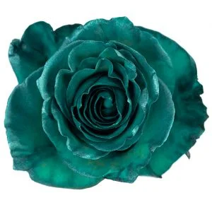 Green Nacar · Mitabella catalog