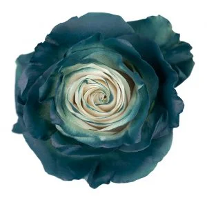 Natural Christmas Green · Mitabella catalog