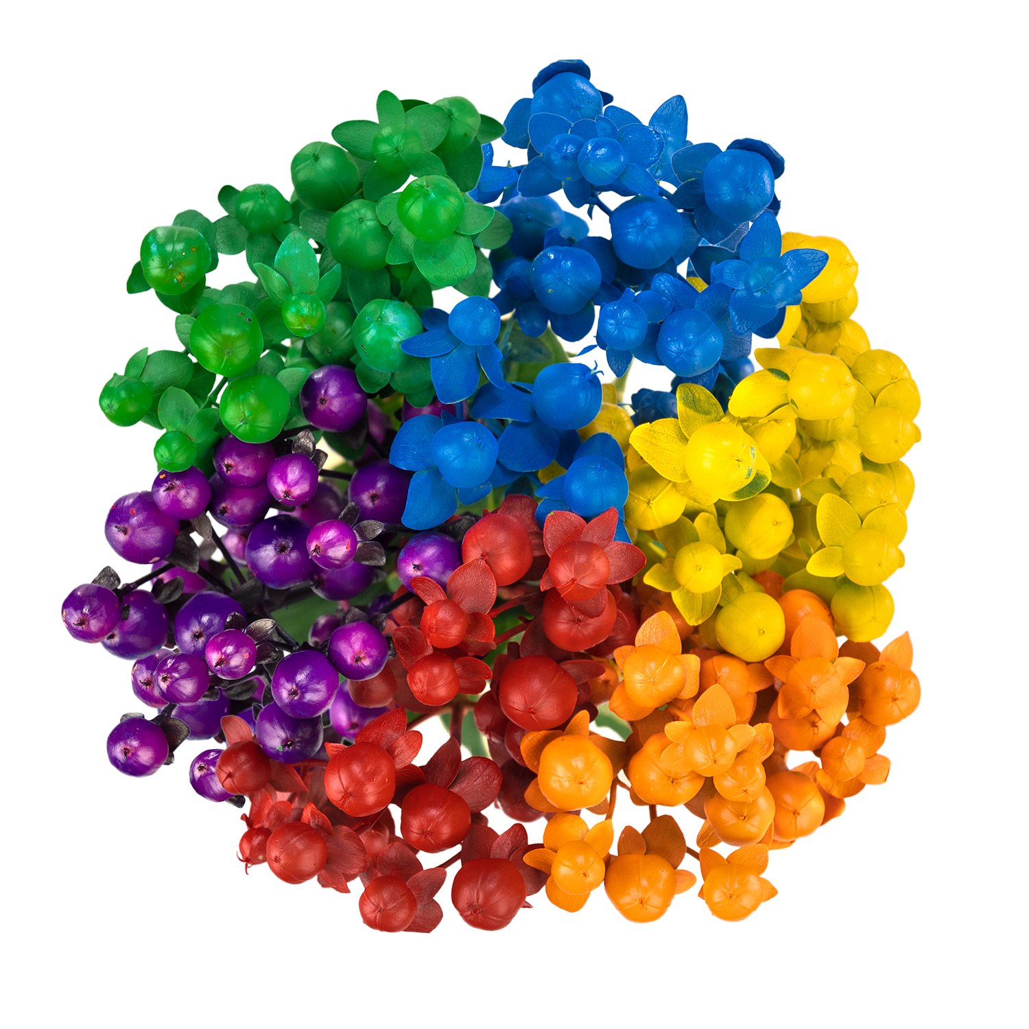 Hypericum Pride · Mitabella catalog