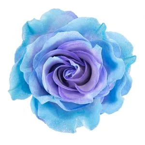 Lavender & Light Blue Glitter · Mitabella catalog