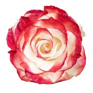 Natural Red Glitter · Mitabella catalog