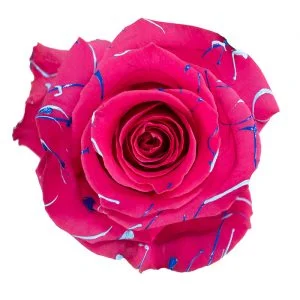 Splash Hot Pink Blue & Baby Blue · Mitabella catalog