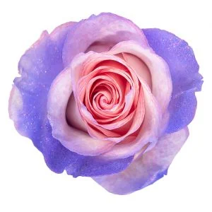 Light Pink Lavender Glitter · Mitabella catalog
