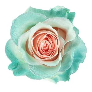 Light Pink Mint Glitter · Mitabella catalog