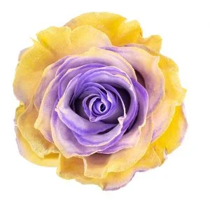 Lavender Yellow Glitter · Mitabella catalog