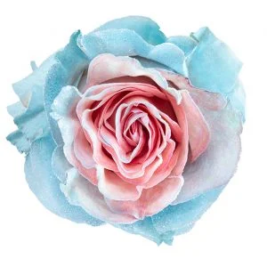 Baby Pink Baby Blue · Mitabella catalog