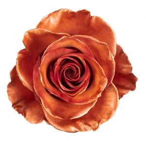 Metallic Copper · Mitabella catalog