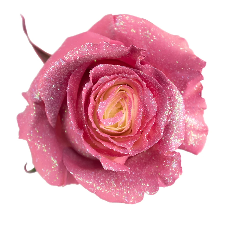 Natural Blush Glitter · Mitabella catalog