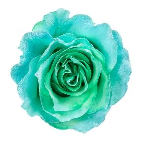 Mint Light Blue Glitter · Mitabella catalog