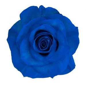 Blue · Mitabella catalog