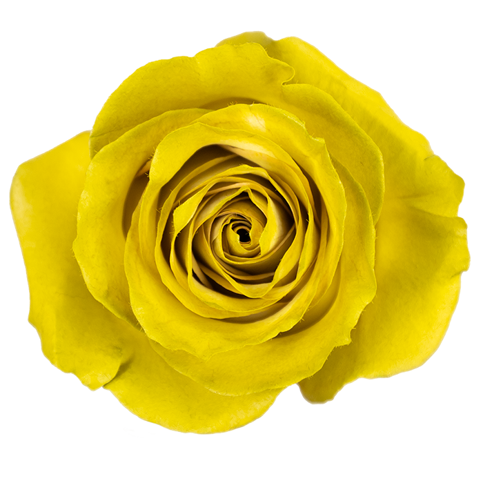 Golden Beryl · Mitabella catalog