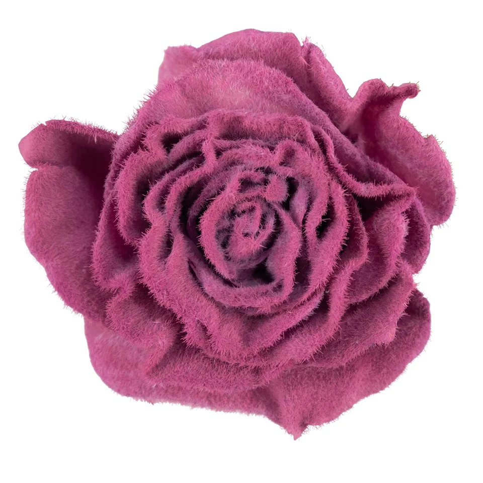 Velvet Blush · Mitabella catalog