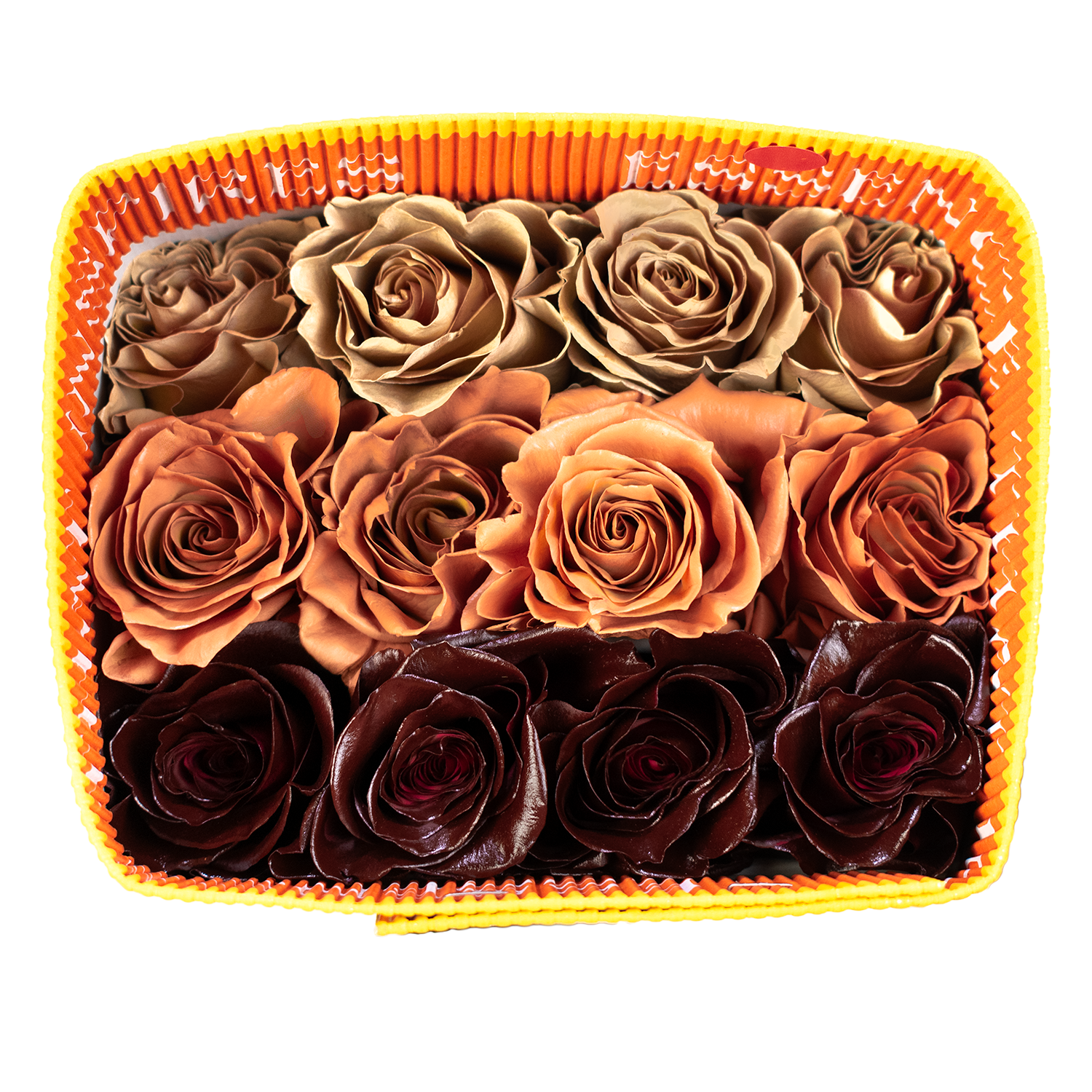 Fall Intense Rust Bunch · Mitabella catalog