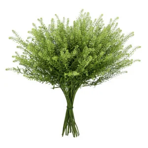 Lepidium Green Dragon | Pepper Grass · Mitabella catalog
